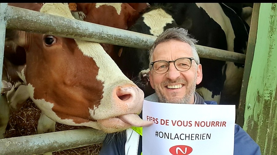 Eleveur et vache Novial