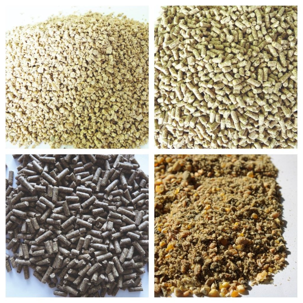 Aliments Novial