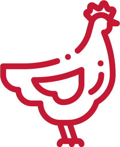 icône volaille de chair rouge Novial
