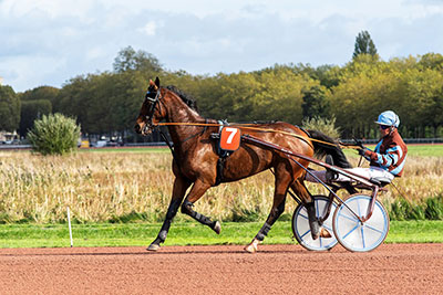 cheval course racing Novial