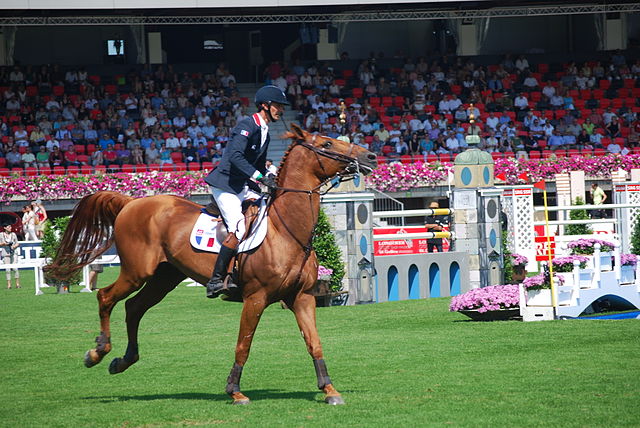 DP Nutrition chevaux