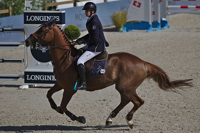 DP Nutrition chevaux