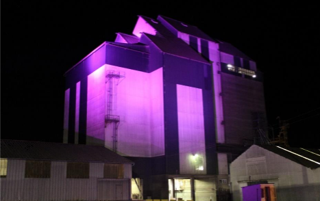 usine Noyelle rose
