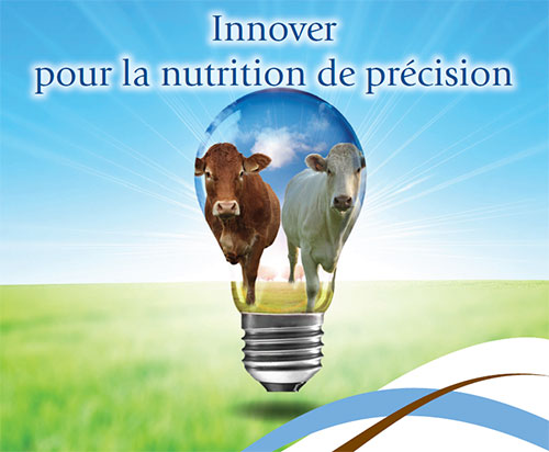 bovins viande OZÉ